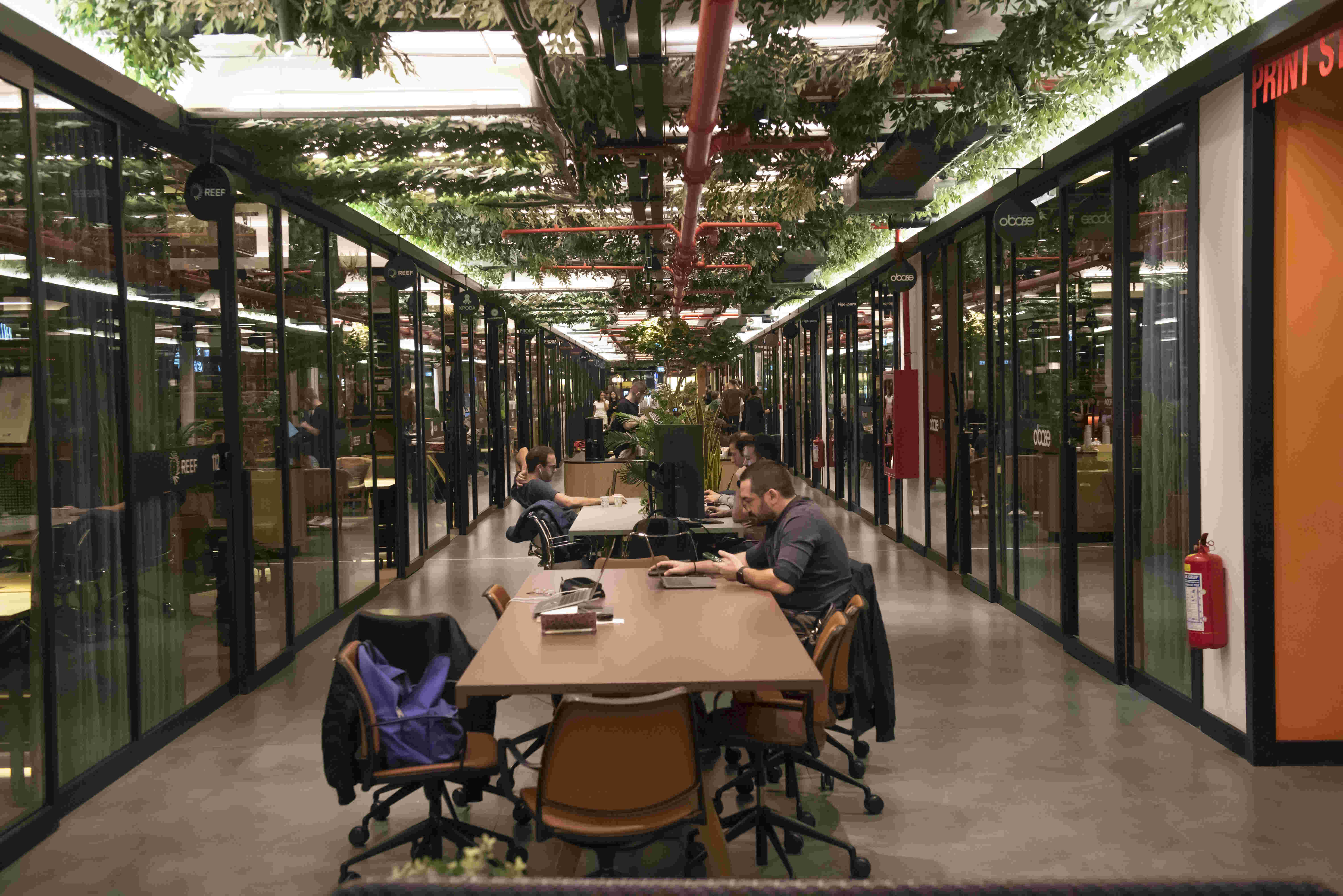 Modern green office corridor